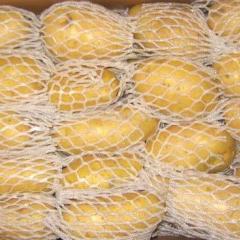 围场赵东华，克新一号三两起水洗货