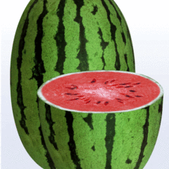 代售扎子塬旱砂田西瓜