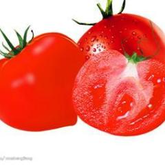 潍坊市稻田镇齐达利西红柿1.6-2.0元/斤