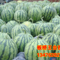 襄阳市板桥店张江洪：花皮无籽.7元/斤