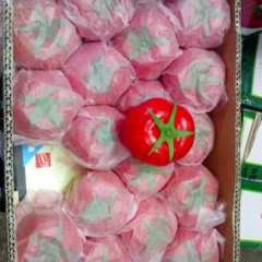 广州江南代销全国各地大小番茄及各种蔬果