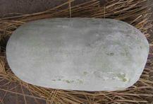 湛江市东海岛吴志清：优质白皮冬瓜0.8元/斤