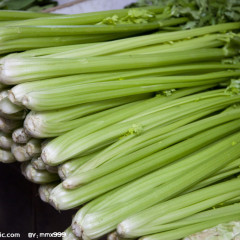 滨州市鲁祝村孙经理：芹菜
