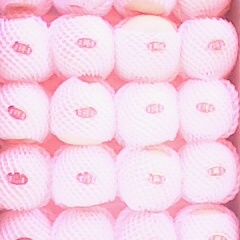 渭南市龙阳镇康冬冬：金寿杏12元/斤