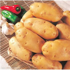 中国土豆之乡，界河镇欢迎你