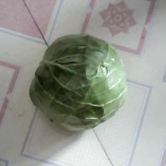 菏泽市徐寨镇魏然忠：8398甘蓝0.5元/斤