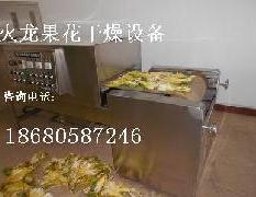 广州市大石镇梅杰：蔬菜微波干燥机0元/斤