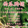 潍坊市谭坊镇宋恩来：凤光1-1.3元/斤