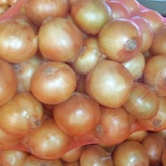 南阳市沙堰镇李成伟：黄皮洋葱1.5元/斤