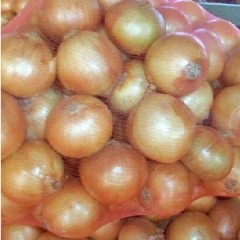 南阳市沙堰镇李书祥黄皮洋葱1.2元/斤