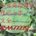 潍坊市谭坊镇京欣/双星/风光/科城系列等