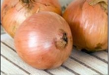 河南省南阳市新野县蔬菜代办老李：已上市