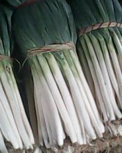 潍坊刘家尧韩先生：铁杆大葱0.9-1.03元/斤