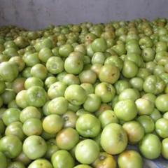 泰安市房村镇乔录杰：硬粉1.5--2.0元/斤