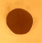 强民农资黄腐酸钾