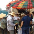 南宁市苏圩镇马先生：麒麟西瓜