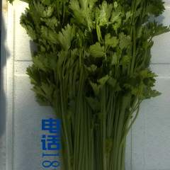 蚌埠市小蚌埠姚先生：美国西芹0.5元/斤