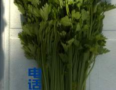 蚌埠市小蚌埠姚先生：美国西芹0.5元/斤