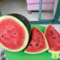 南宁市苏圩：小麒麟