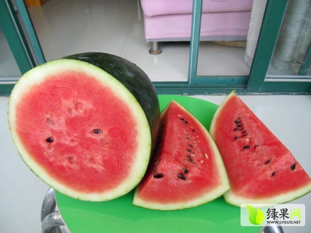 小麒麟价格