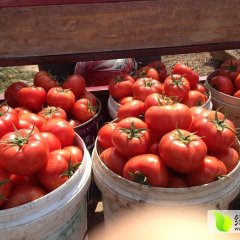 济南市路李：欧冠