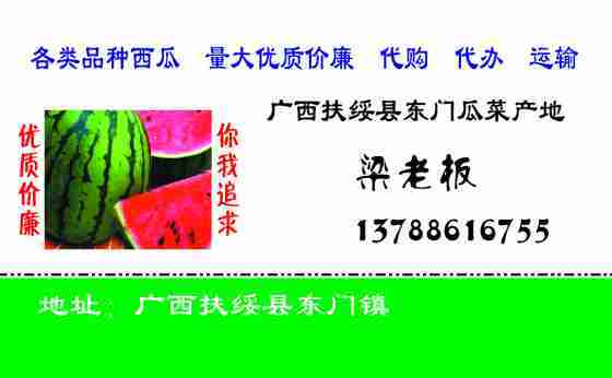 黑美人价格