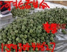 石家庄市邯邰镇李军：薄皮甜瓜1.8元/斤