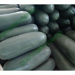 冬瓜 铁皮冬瓜 吊冬瓜 黑皮冬瓜0.09