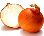 黄皮洋葱1.75元/斤