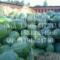 滨州市麻店镇郭先生：京欣