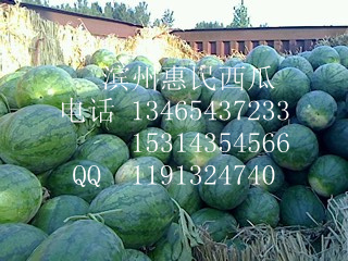 京欣价格