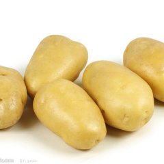 枣庄市姜屯镇胡修平：荷兰七号1.8元/斤