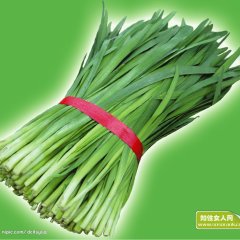 滨州市麻店镇陈勇：平韭6号韭菜1元/斤