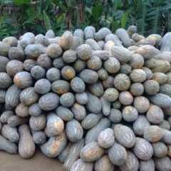 南宁市那同镇李修体：甜南瓜6元/斤