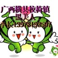 南宁市校椅镇李长：黑美人
