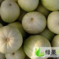 石家庄市小流村李朋：甜瓜西瓜代理2.0-3.0元/斤