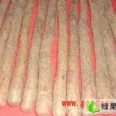 南阳市歪子乡肜珂：九斤黄山药