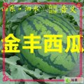 济宁市金庄镇相书记：京欣1元/斤