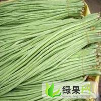 聊城市董杜庄孙红太：长豆角，芸豆3.8元/斤