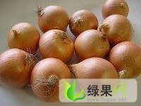 济宁市昊顺蔬菜专业合作社黄皮洋葱已上市。