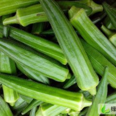 淄博市马桥周经理：秋葵  冰草 5---8元/斤