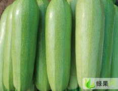 聊城市李堂大王怀光：长紫茄1.4元/斤