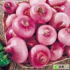 南阳市樊集乡陈先生：红皮洋葱1元/斤