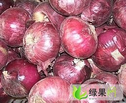 周口市红花乡金先生：红皮洋葱0.6元/斤