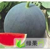 黑皮无籽价格