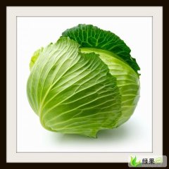 商丘市王先生：卷心菜、大头菜0.2-0.25元