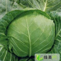 商丘市王先生：包菜、卷心菜0.2-0.25元/斤