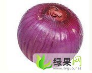 徐州市和集乡刘：紫皮洋葱