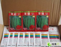 潍坊市杨善赵张玉红：丰冠西瓜种子35元/包