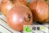 青岛禾益生蔬菜合作社 供应黄皮圆葱